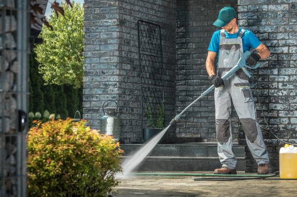 Best Dumpster Area Cleaning  in Island Walk, FL