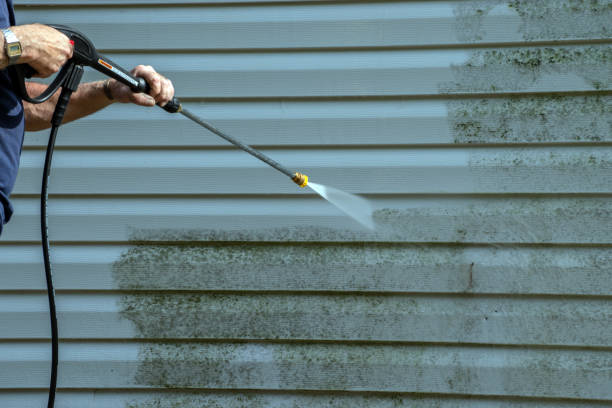 Boat and Dock Cleaning in Island Walk, FL