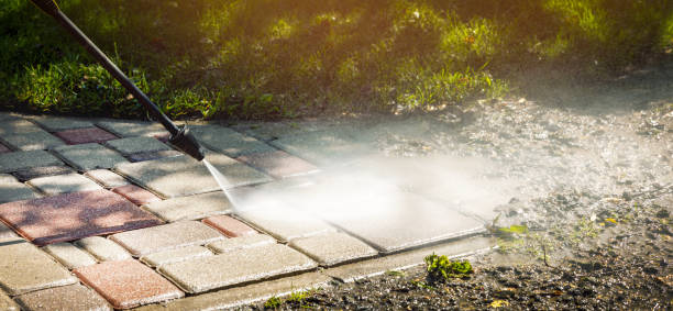 Best Sidewalk and Walkway Cleaning  in Island Walk, FL